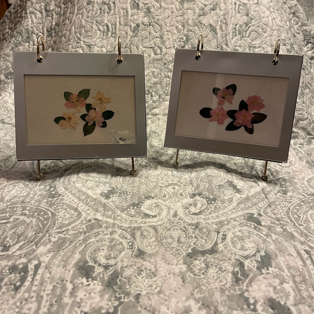 Picture frame album set of 2.